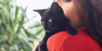 gato negro mirando sobre el hombro de su dueño