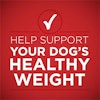 Help support your dog's healthy weight