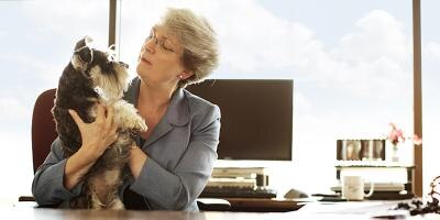 Professional woman holding a dog