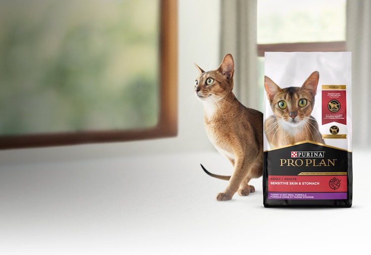 Purina Pro Plan Sensitive Skin & Stomach Cat Food Hero Banner
