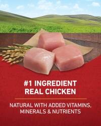 El ingrediente principal es la carne real de pollo, además de vitaminas, minerales y nutrientes adicionales.