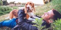 man laying down on grass with white and tan hound dog