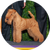 MM, ganador del grupo de los terrier