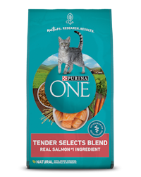 purina one tender selects blend dry cat food