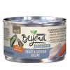 Beyond Grain Free Trout & Catfish Recipe Paté Wet Cat Food