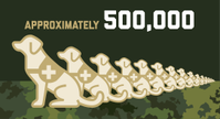 Hay alrededor de 500,000 perros de servicio actualmente en actividad en EE. UU.
