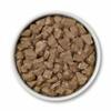 tazón de alimento para perros