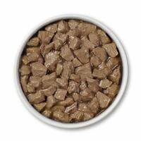 tazón de alimento para perros