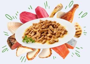 Photo of wet cat food on plate with ingredients bursting out from behind the plate