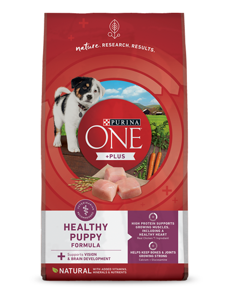 Purina ONE +Plus Healthy Puppy Formula Dry Dog Food
