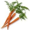 Carrots (Dried)