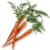 Zanahorias (deshidratadas)