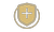Antioxidants Shield in Circle Icon
