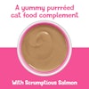 pureed cat food compliment with salon