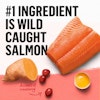 wild caught salmon is number one ingredient