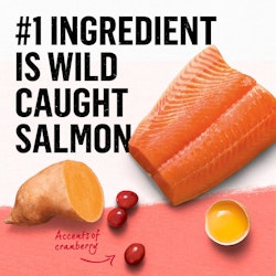 el ingrediente principal es carne real de salmón natural