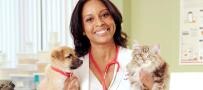 Experto veterinario con cachorros y gatitos
