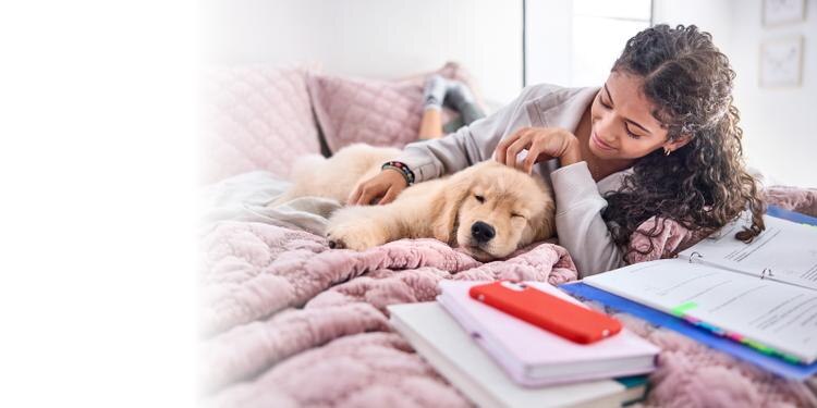 owner scratching puppy head laying on bed