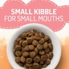 small kibble for small mouths