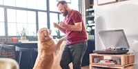 man dancing with golden retriever dog