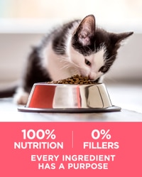 100 percent nutrition 0 percent fillers
