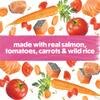 made with real salmon, tomatoes, carrots and wild rice