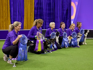 Winning dogs and their handlers with their medals.