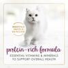 rico-en-proteínas