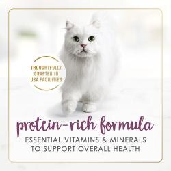 rico-en-proteínas