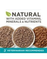 Veterinarian recommended