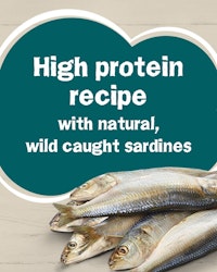 high protein recipe with natural, wild caught sardines