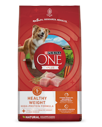Alimento balanceado para perros seco rico en proteínas Purina ONE® +Plus Healthy Weight