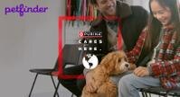 people sitting in shelter lobby with their new dog