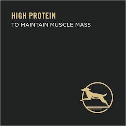 High protein to maintain muscle mass