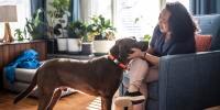 Women petting her dog indoors