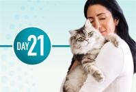 The Major Allergen Is Reduced By 47% 