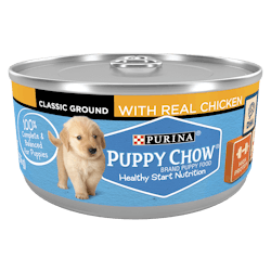 Purina Puppy Chow Wet Puppy Food With Real Chicken