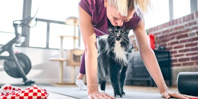 cat and woman on yoga mat