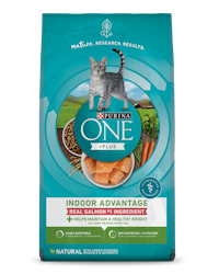 Purina ONE +Plus Indoor Advantage With Real Salmon Dry Cat Food 