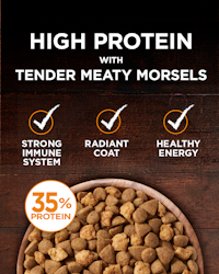 high protein tender hearty morsels