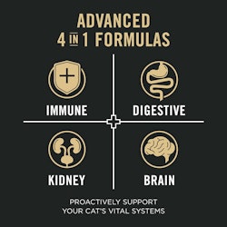 Las fórmulas avanzadas 4 en 1 ayudan a mejorar los sistemas vitales de tu gato. Inmunitario, digestivo, renal, cerebral.