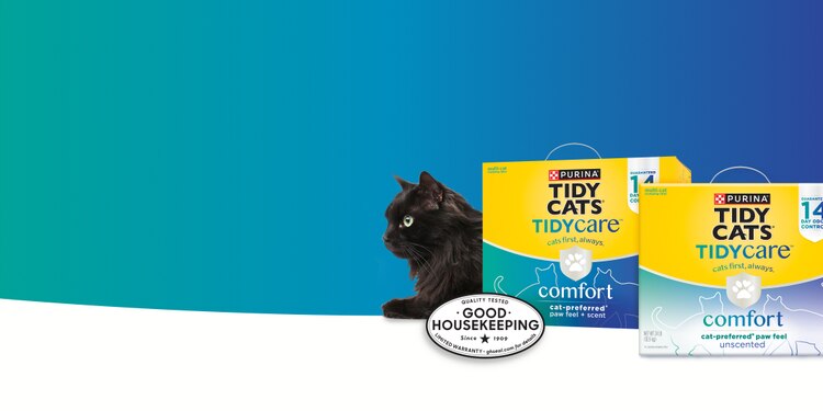 A black cat laying next to tidy cats tidy care cat litter
