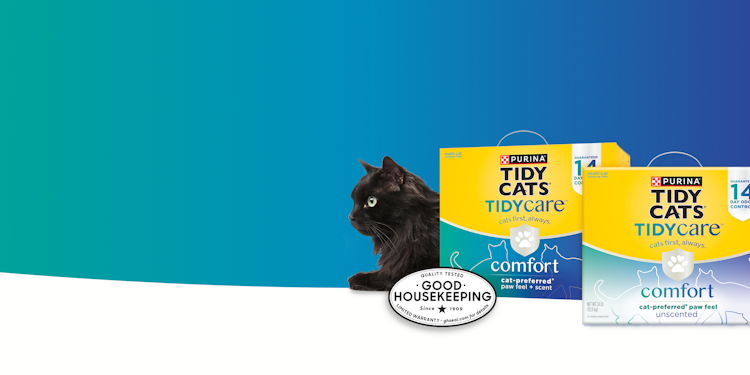 A black cat laying next to tidy cats tidy care cat litter