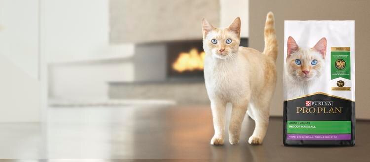 Purina Pro Plan Indoor Cat Food Hero Banner
