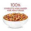 100 % completo y equilibrado para perros adultos