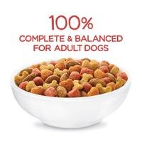 100 % completo y equilibrado para perros adultos