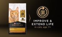 Prime Plus Adult 7+ Formulas