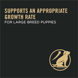 supports an appropriate growth rate for large breed puppies