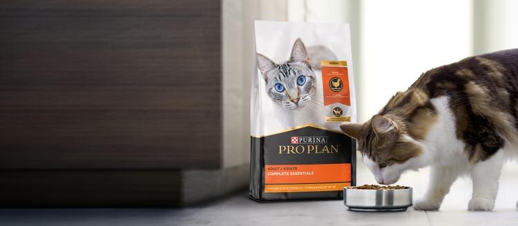 Dry Cat Food Hero Banner