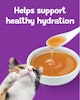 Helps support healthy hydration
